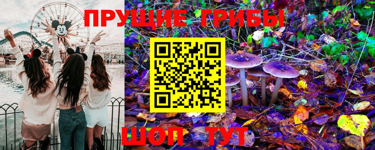 Псилоцибиновые грибы Cubensis  Галлюциногенные грибы MAGIC MUSHROOMS  Георгиевск  Вход с VPN 